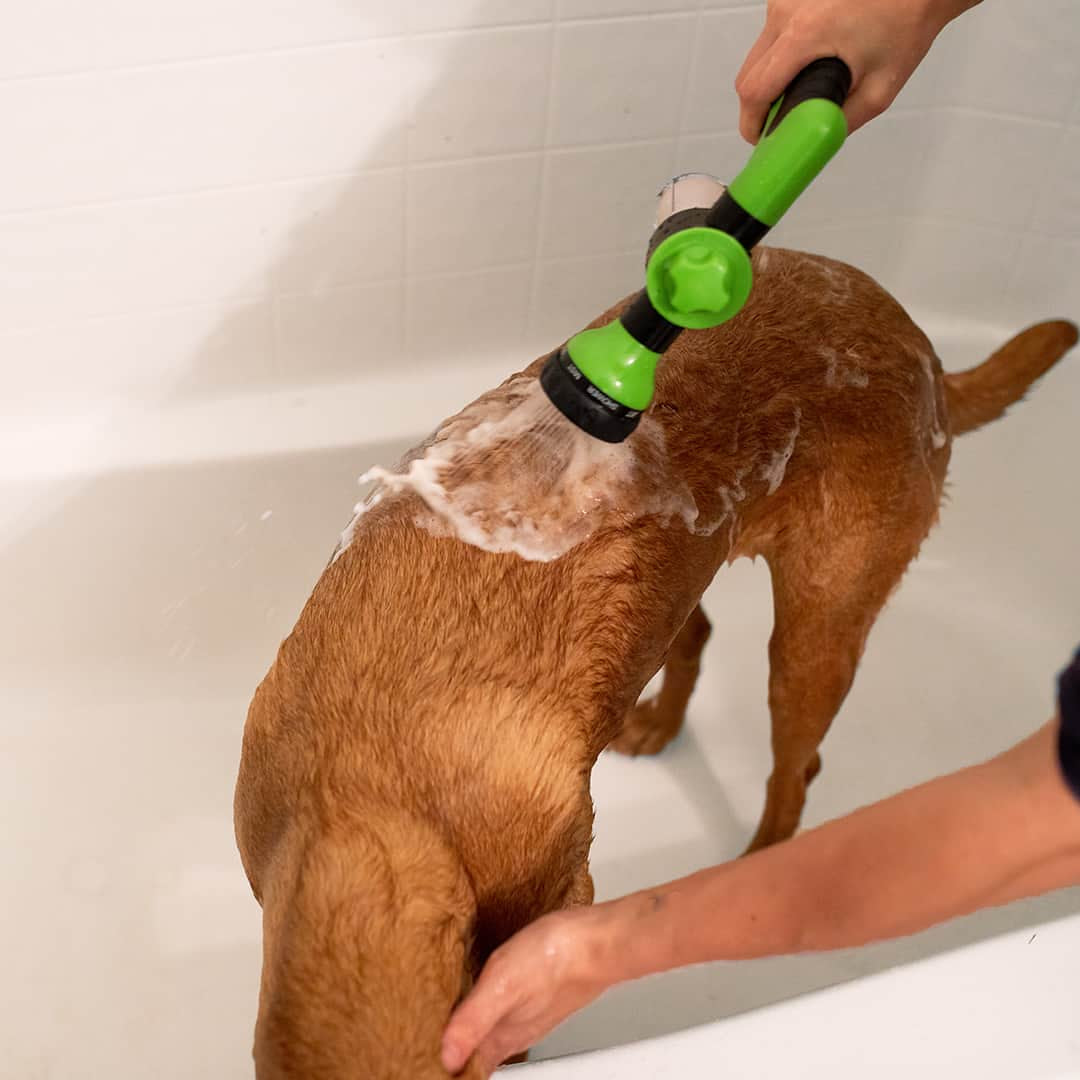 Pup Jet Pet Shower Helper, Dog Bath Sprayer