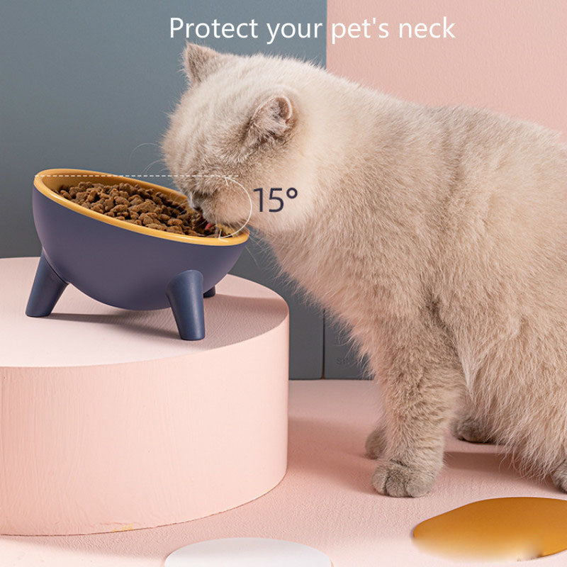 Pet  Feeding Bowl With Stand