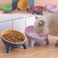 Pet  Feeding Bowl With Stand