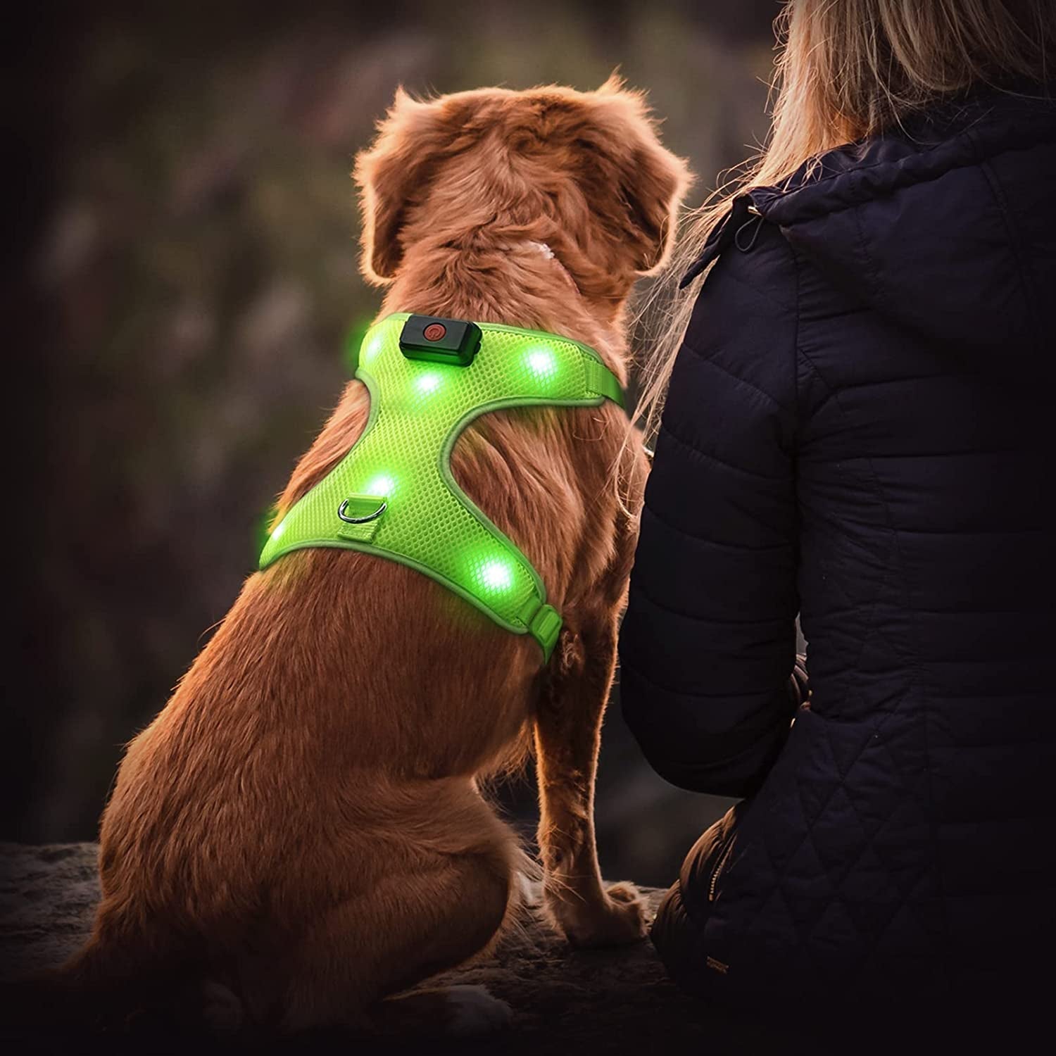 Glow In The Dark LED Dog Harness, Lighted up USB Rechargeable Pet Harness,(Green, S)