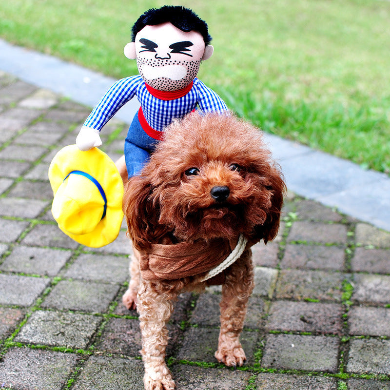 Halloween Pet Costume