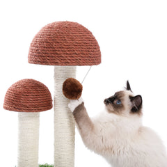 Cat Scratching Post Mushroom