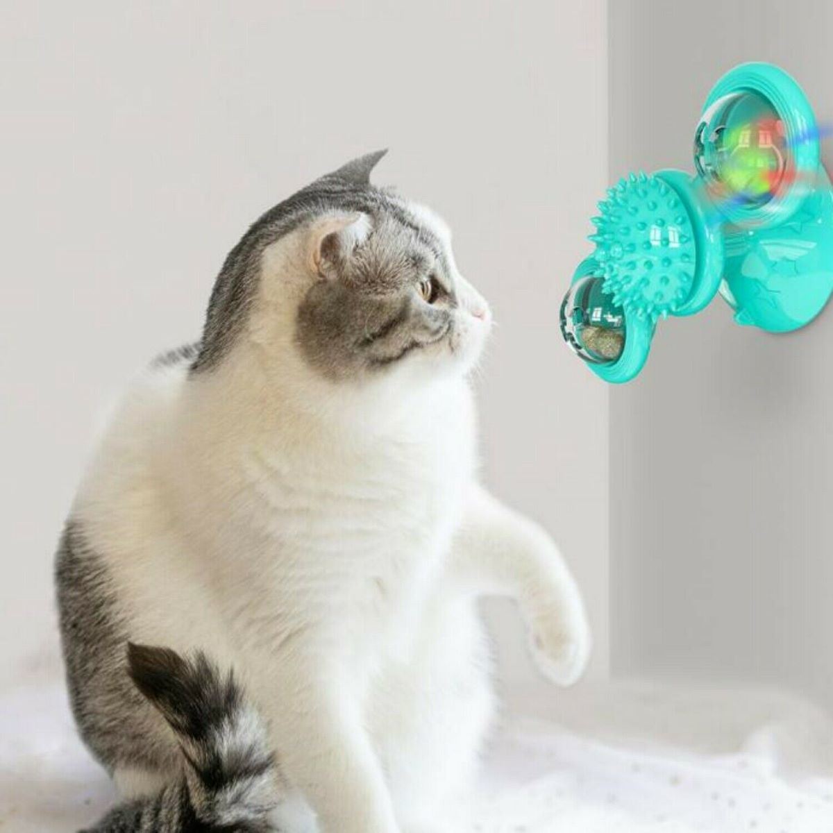 New Stylish Cat Toys For Kitten  Design Windmill And Fish