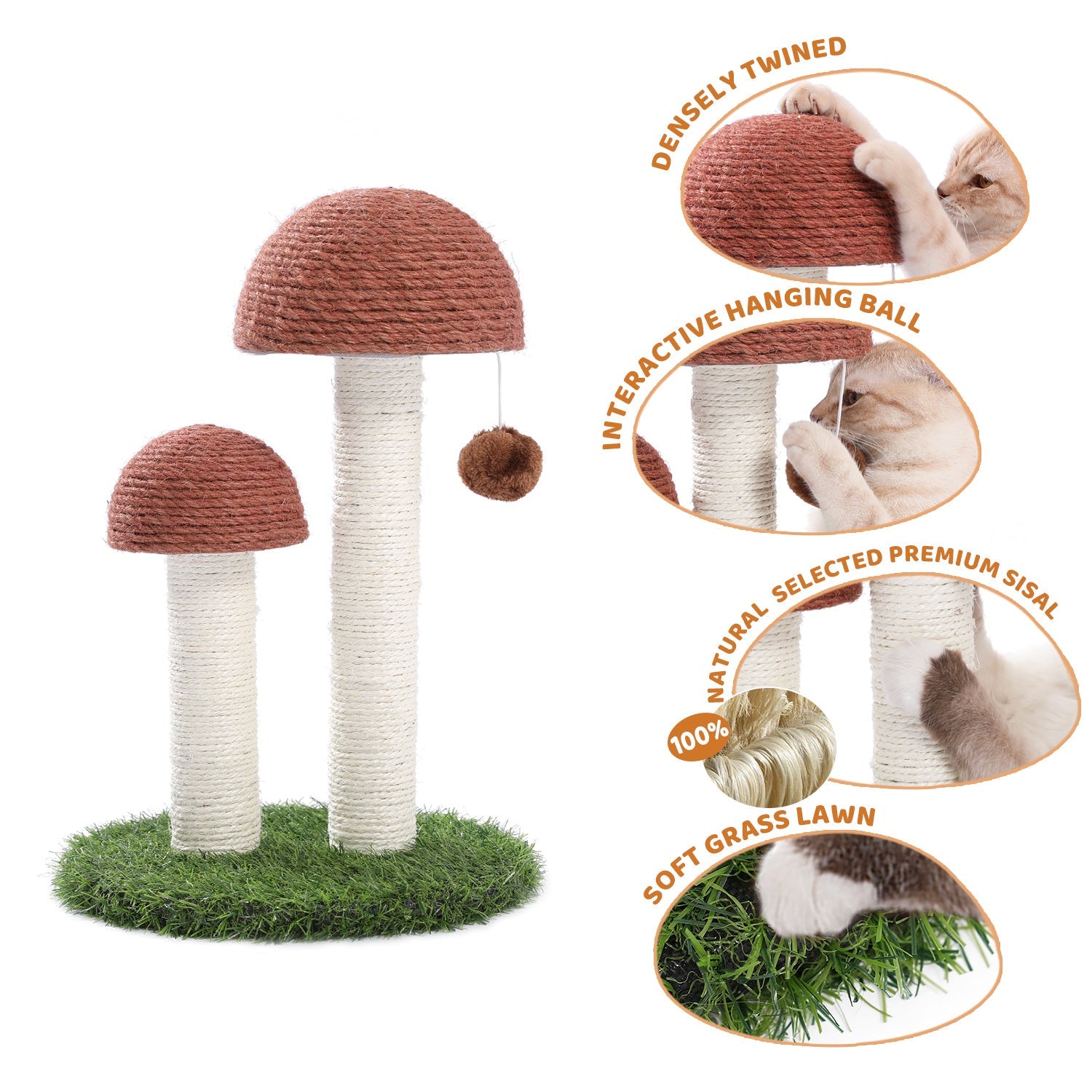 Cat Scratching Post Mushroom