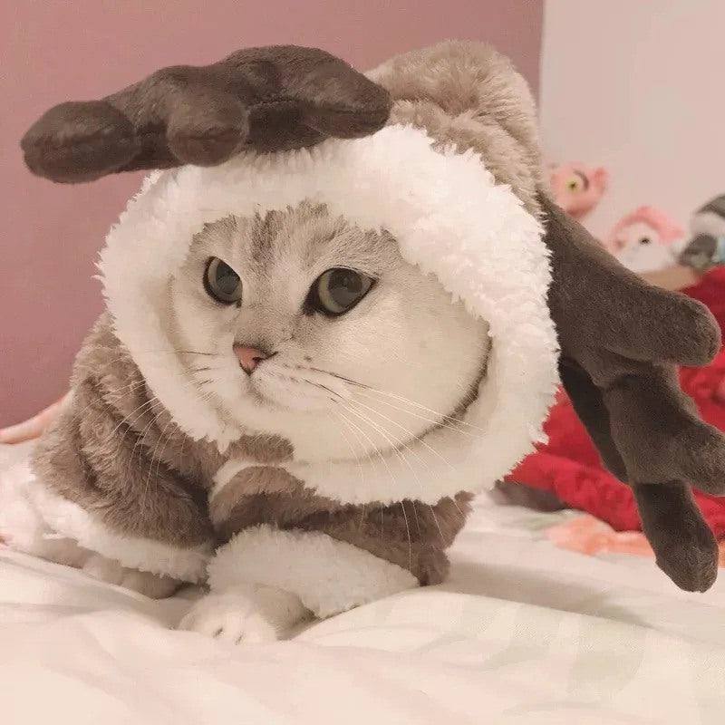 Pet Costume Kitten Jumpsuit