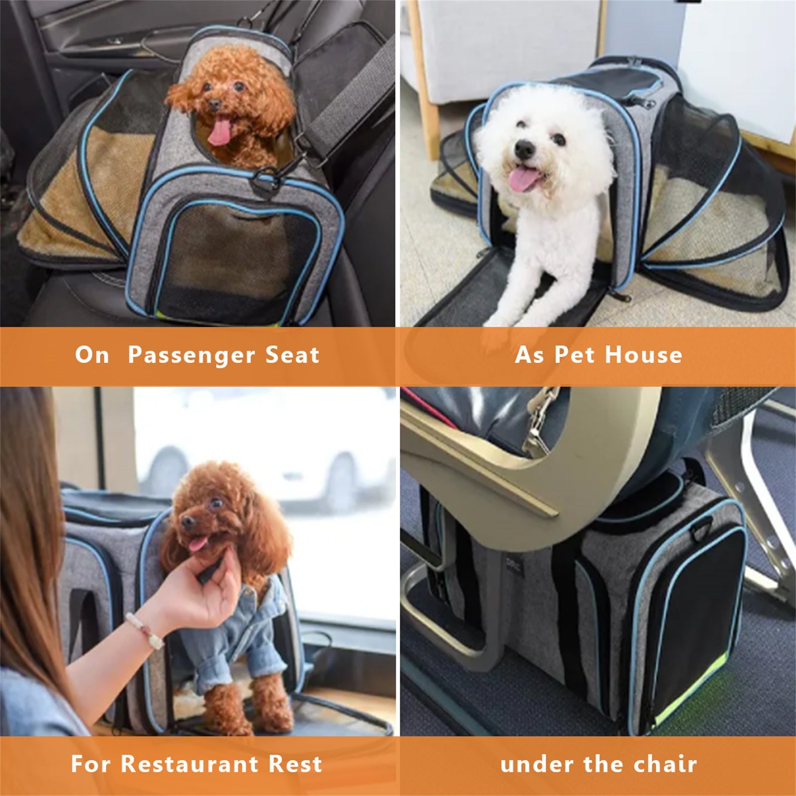 Pet Carrier TSA Airline Approved with Ventilation - Blue