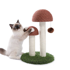 Cat Scratching Post Mushroom