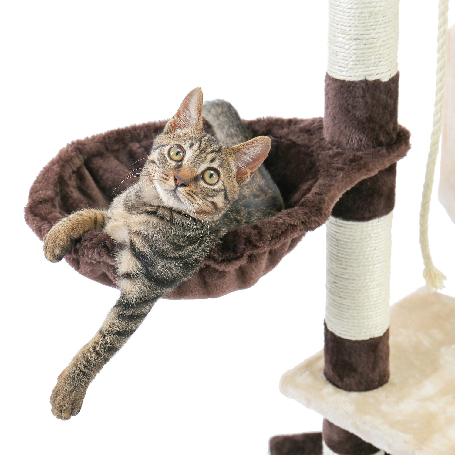 Cat Condo With Scratching Post and Cat Tower