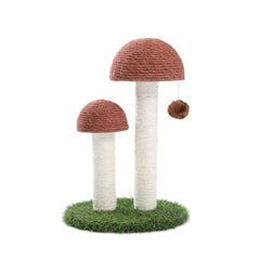 Cat Scratching Post Mushroom