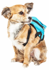 Large-Pocketed Compartmental Animated Dog Harness Backpack