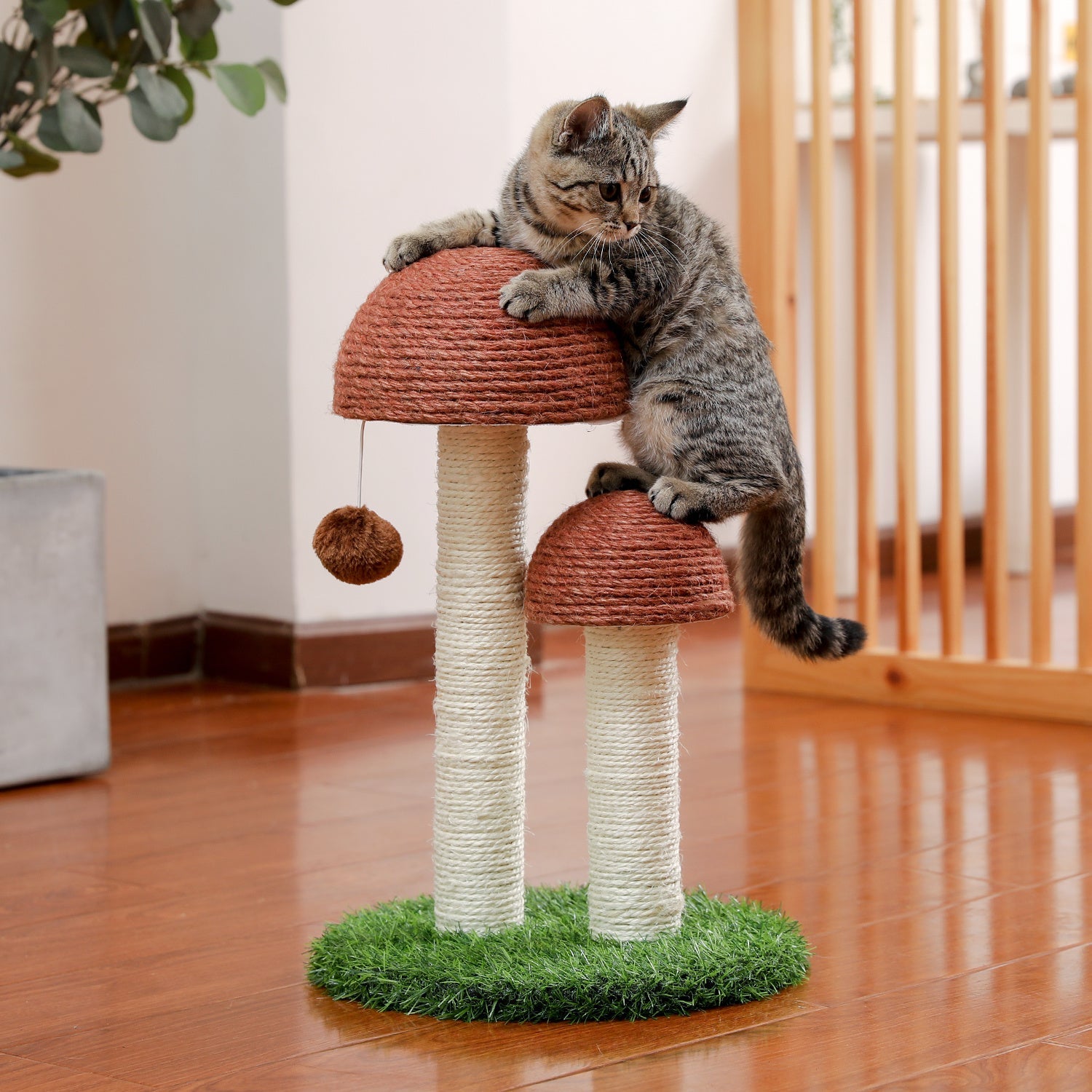 Cat Scratching Post Mushroom